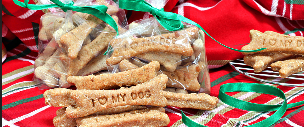 Featured image for “National Dog Biscuit Day”