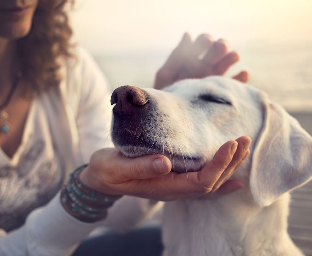 Kindness and Compassion
