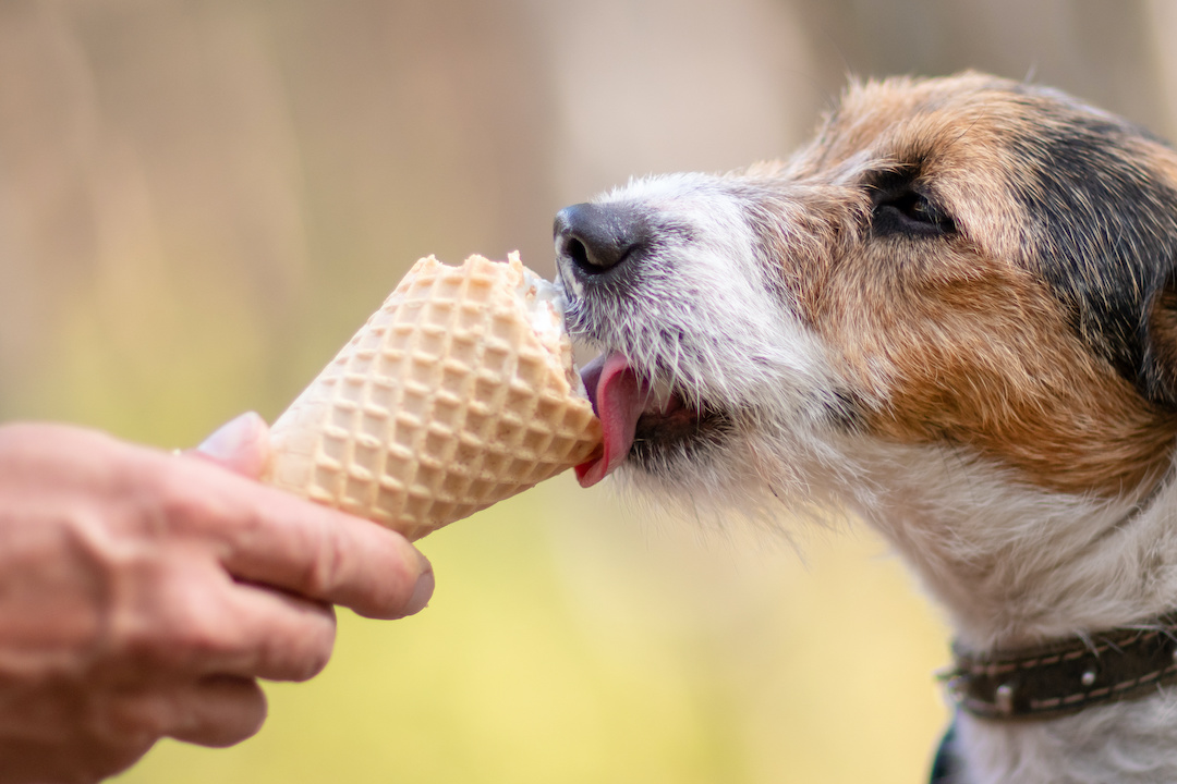 Featured image for “Making Ice Cream As A Summer Treat”