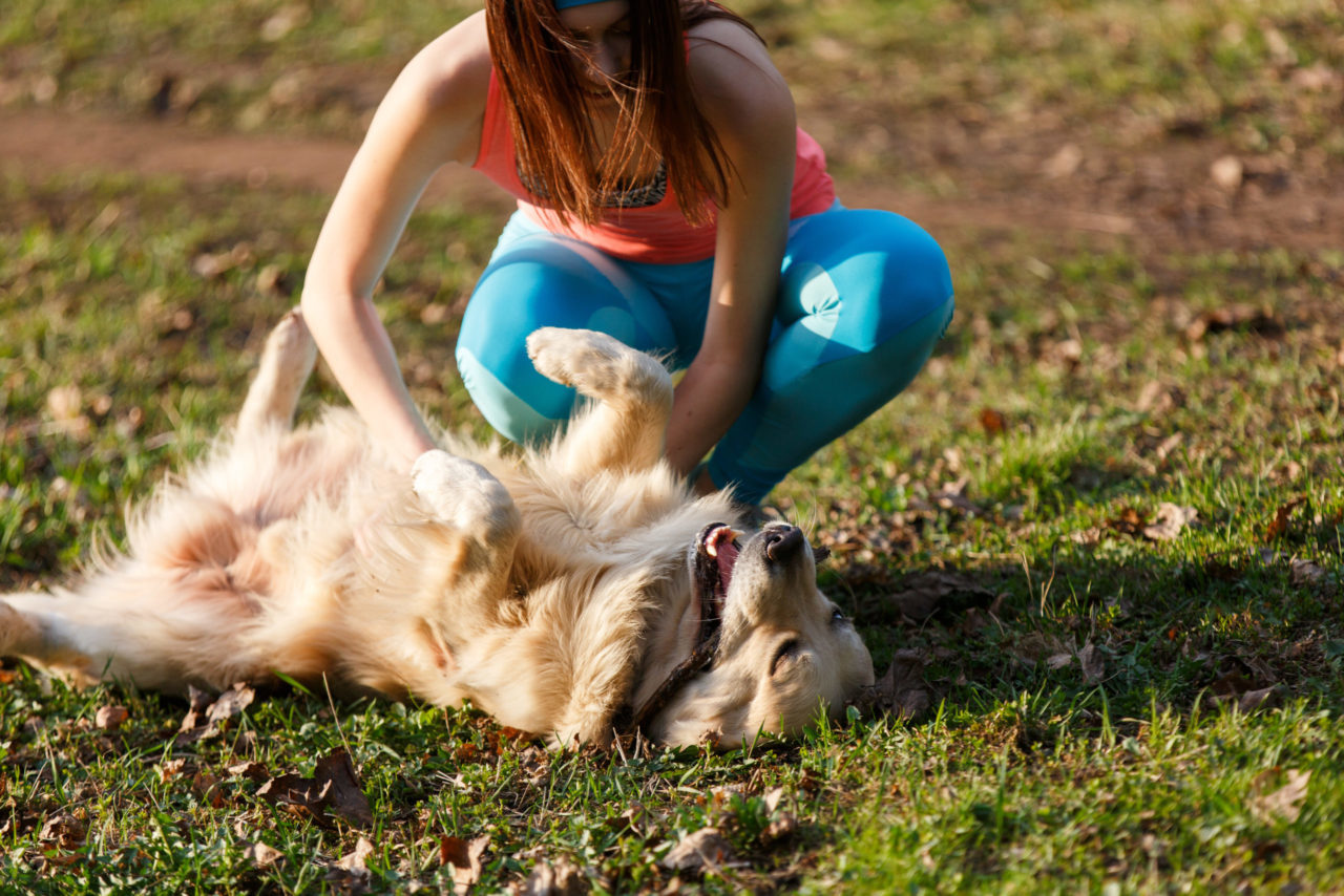 Featured image for “Let’s Celebrate Professional Pet Sitters Week”