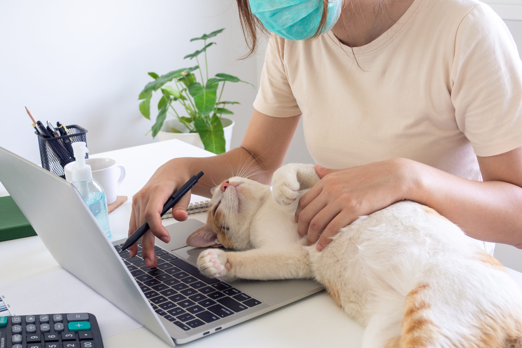Take Your Pet To Work Week Floofins & Co.
