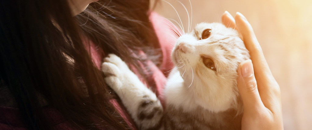 Seven Reasons To Adopt A Shelter Pet For Your Health