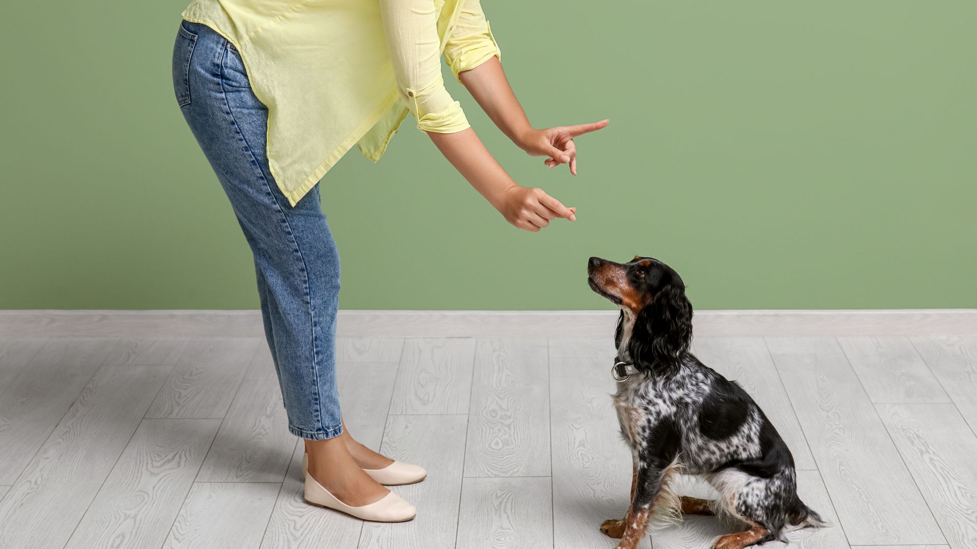 Be Proactive Get A Dog Trainer Before A Pup