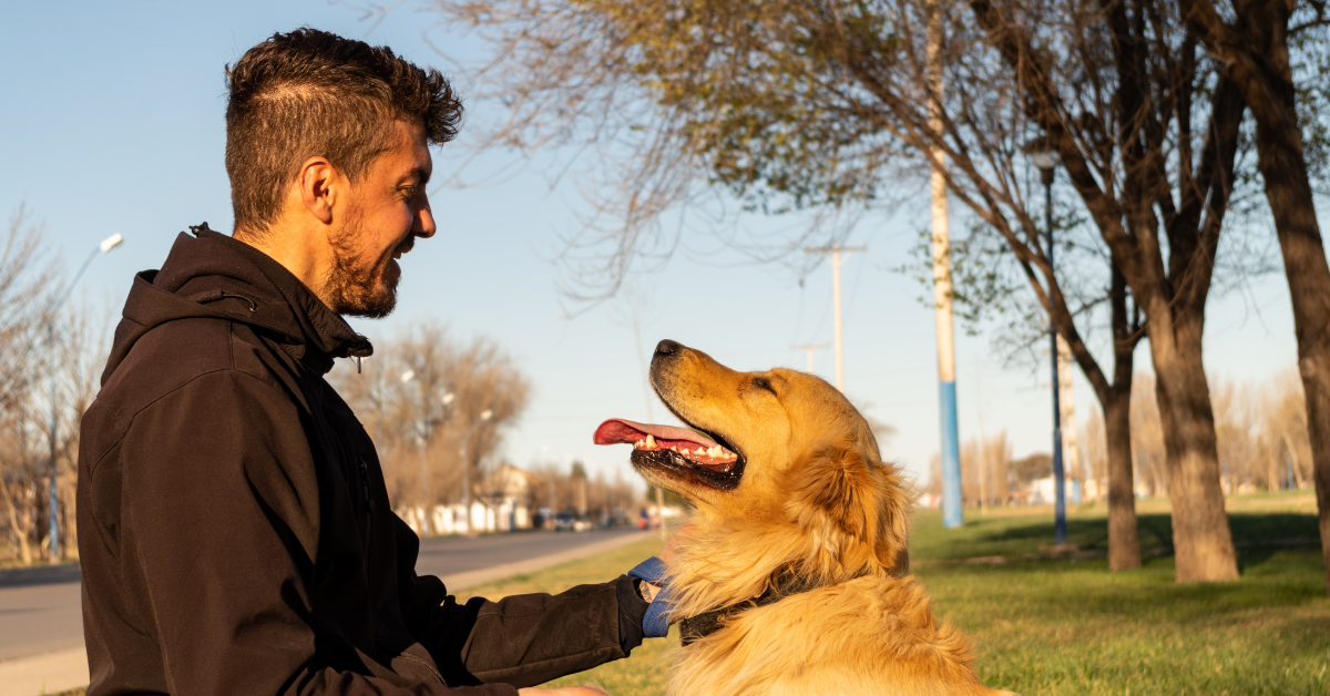 Featured image for “The Special Bond: What Makes Cat and Dog Dads Amazing”