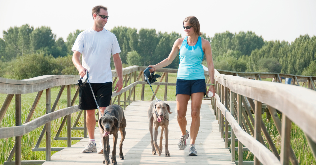 Featured image for “Pet Obesity Awareness Week: Keeping Chicago Pets Healthy”